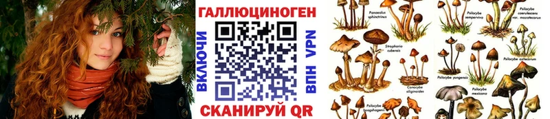 Купить закладки  Рошаль  Галлюциногенные грибы Cubensis 